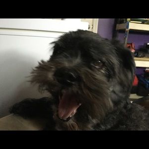 Meet your Posher, Tabitha